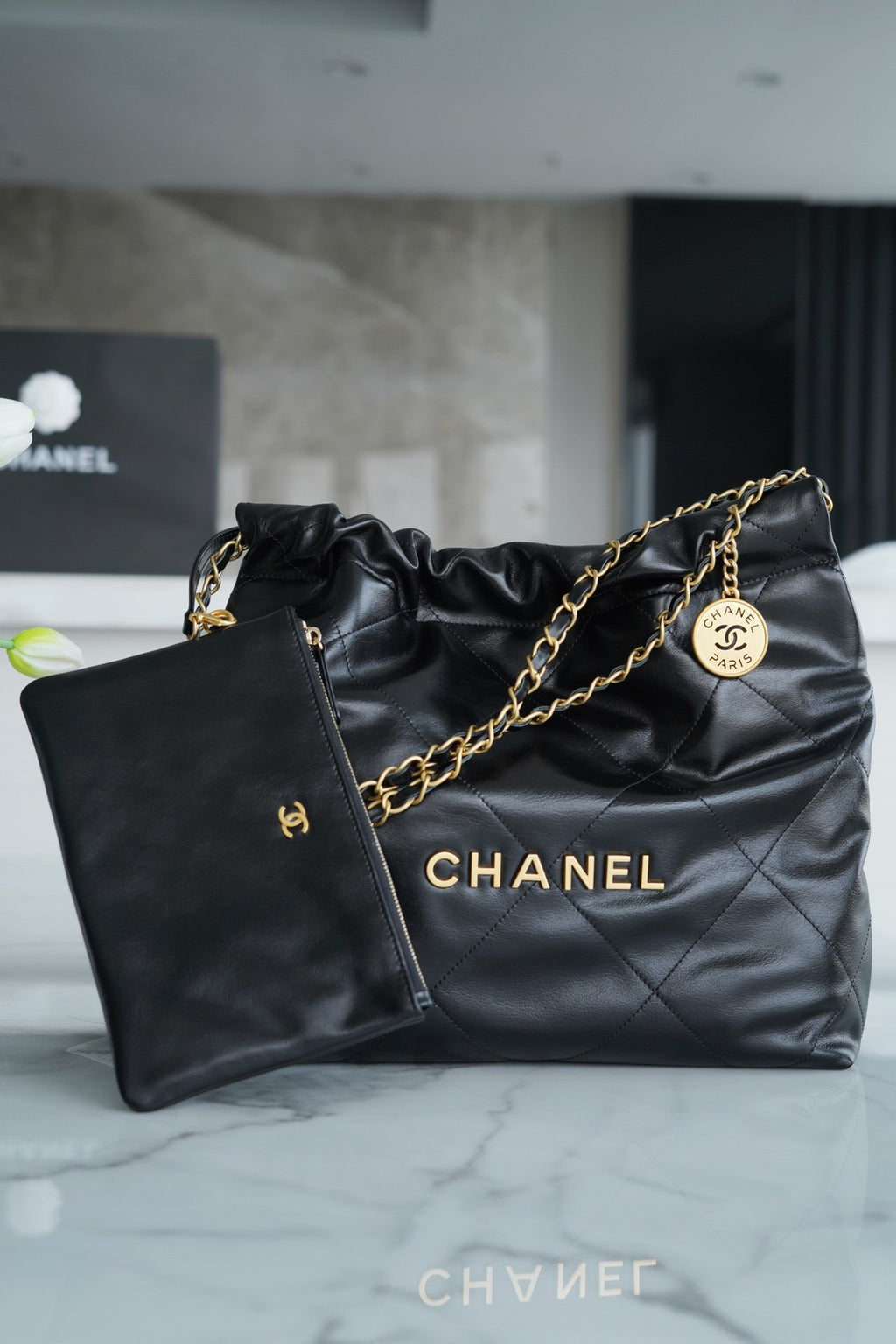 CHANEL 22 bag