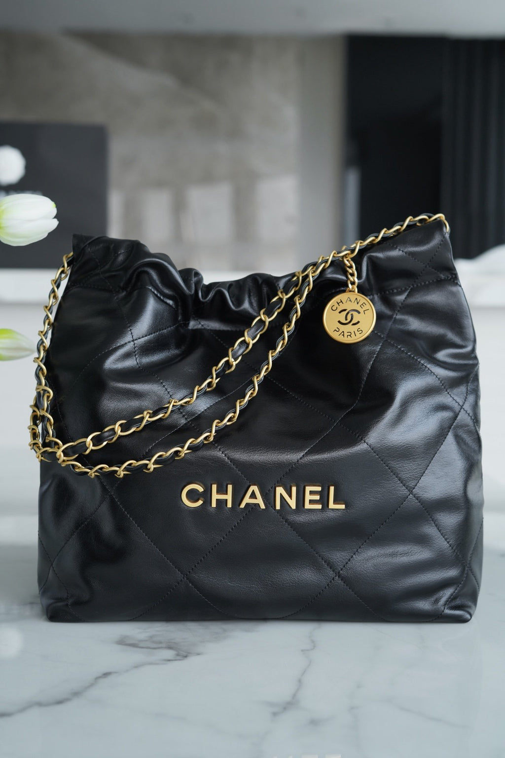 CHANEL 22 bag