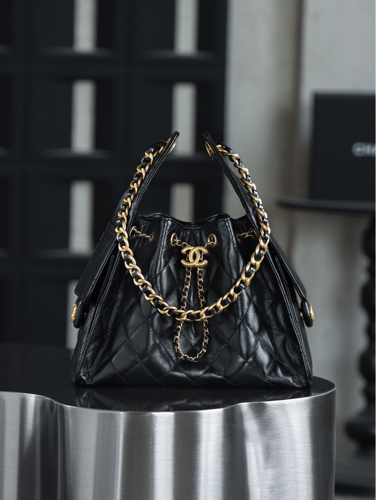 CHANEL 25s hobo bag