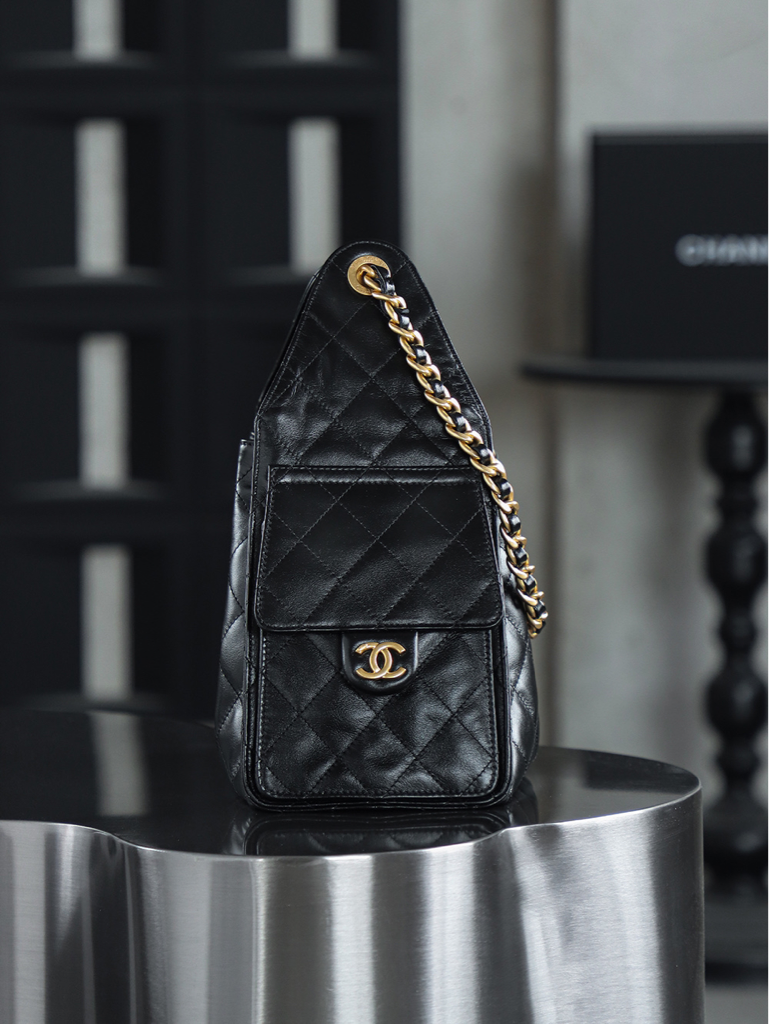 CHANEL 25s hobo bag