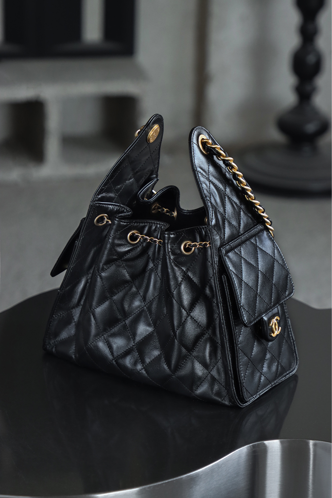 CHANEL 25s hobo bag
