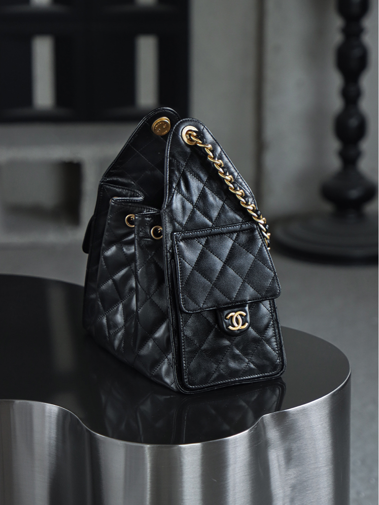CHANEL 25s hobo bag