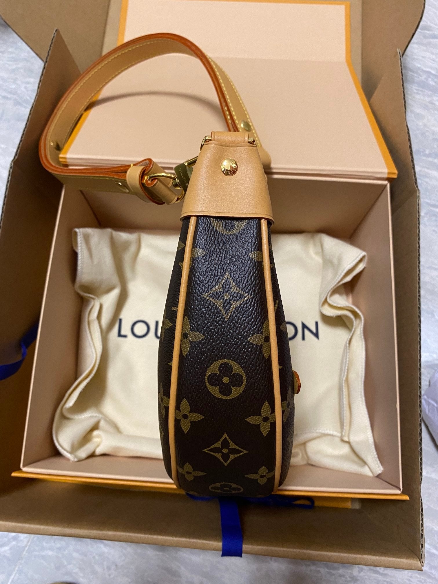 LV LOOP