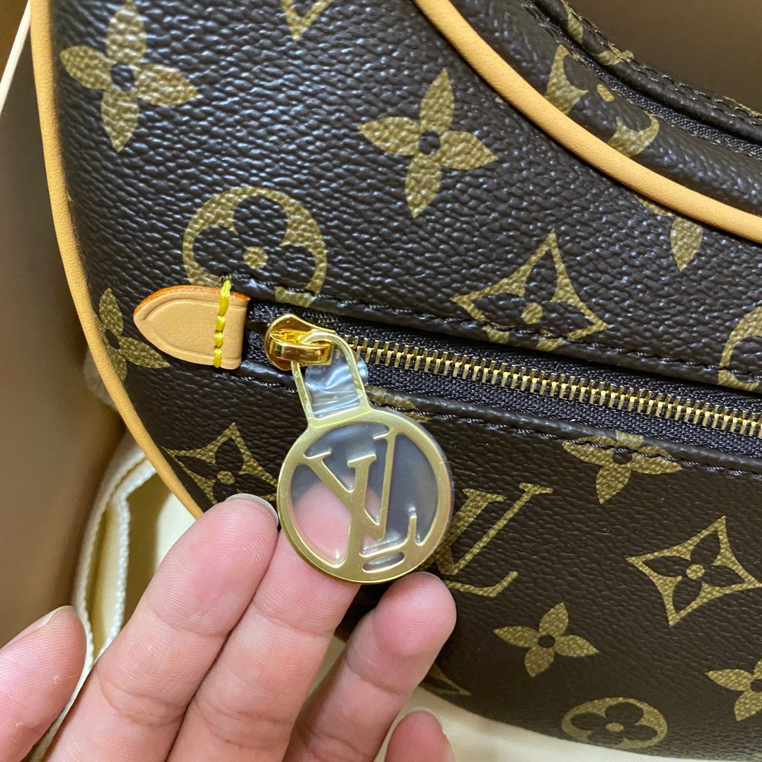 LV LOOP