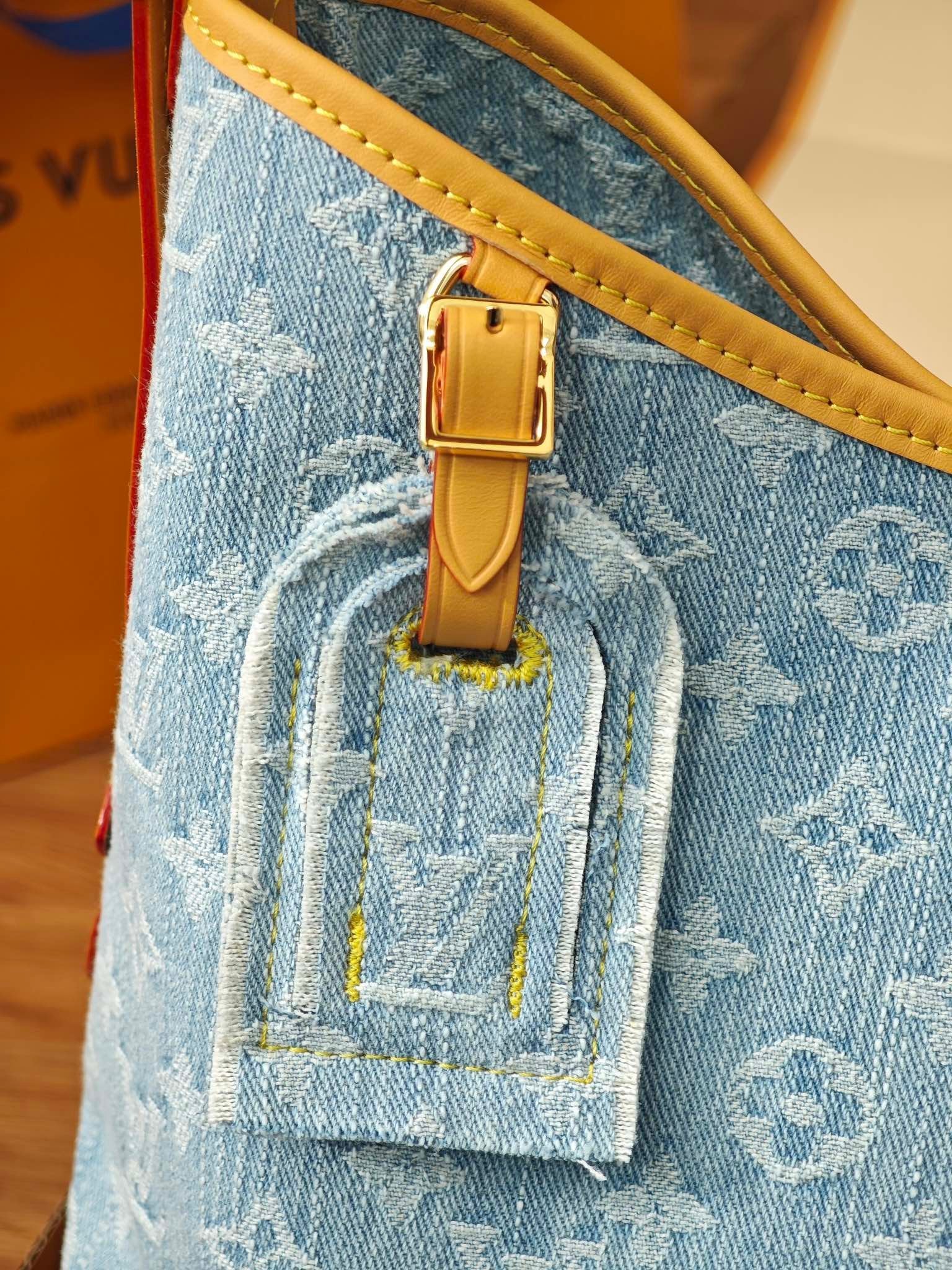 LV Carry all