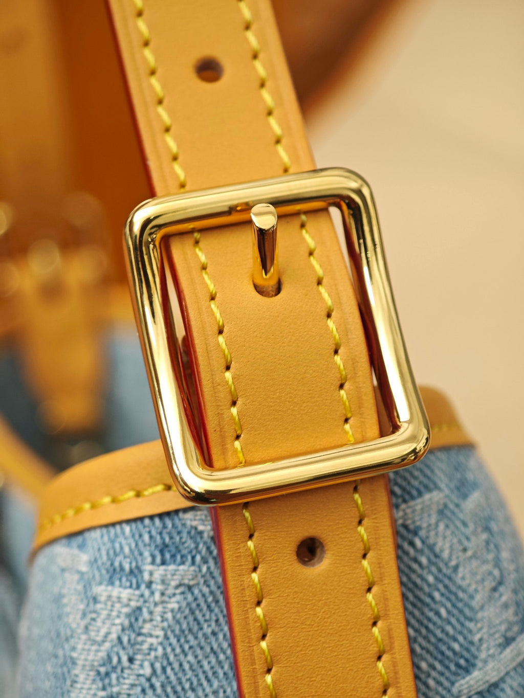 LV Carry all