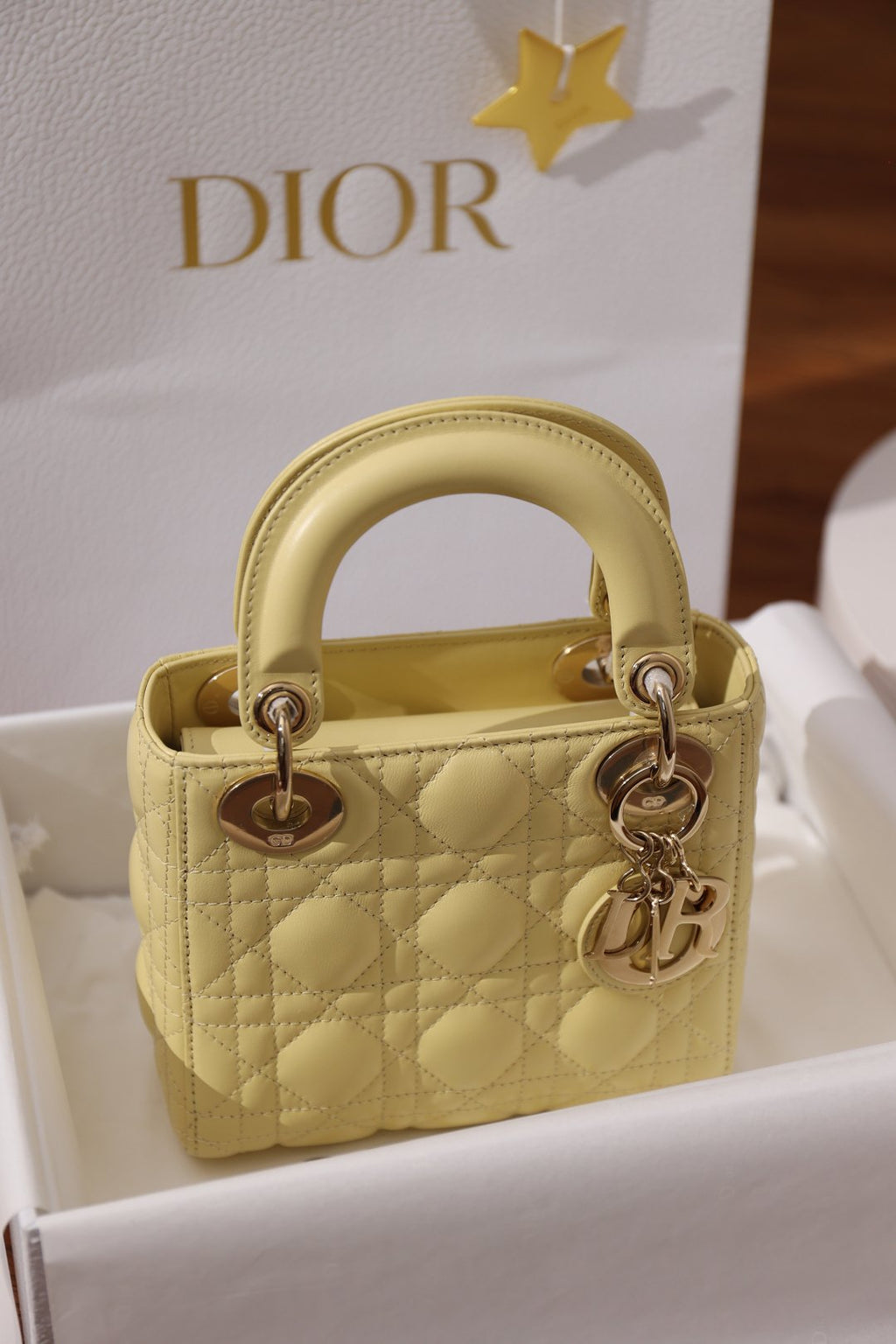 Dior Lady