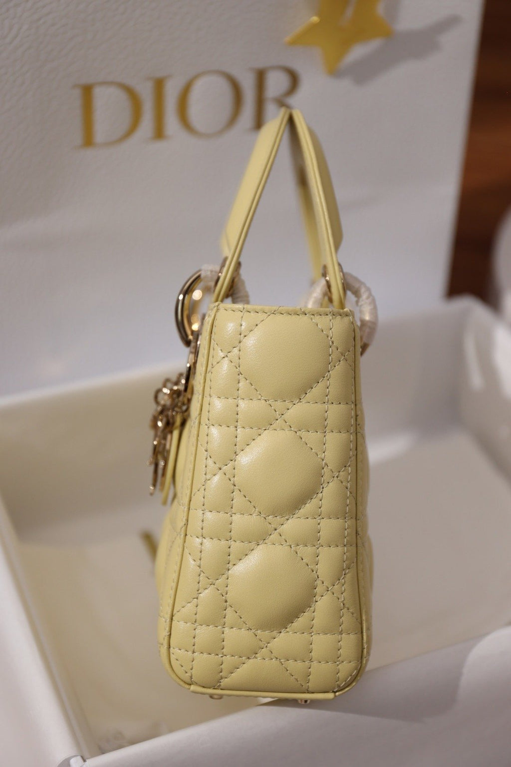 Dior Lady
