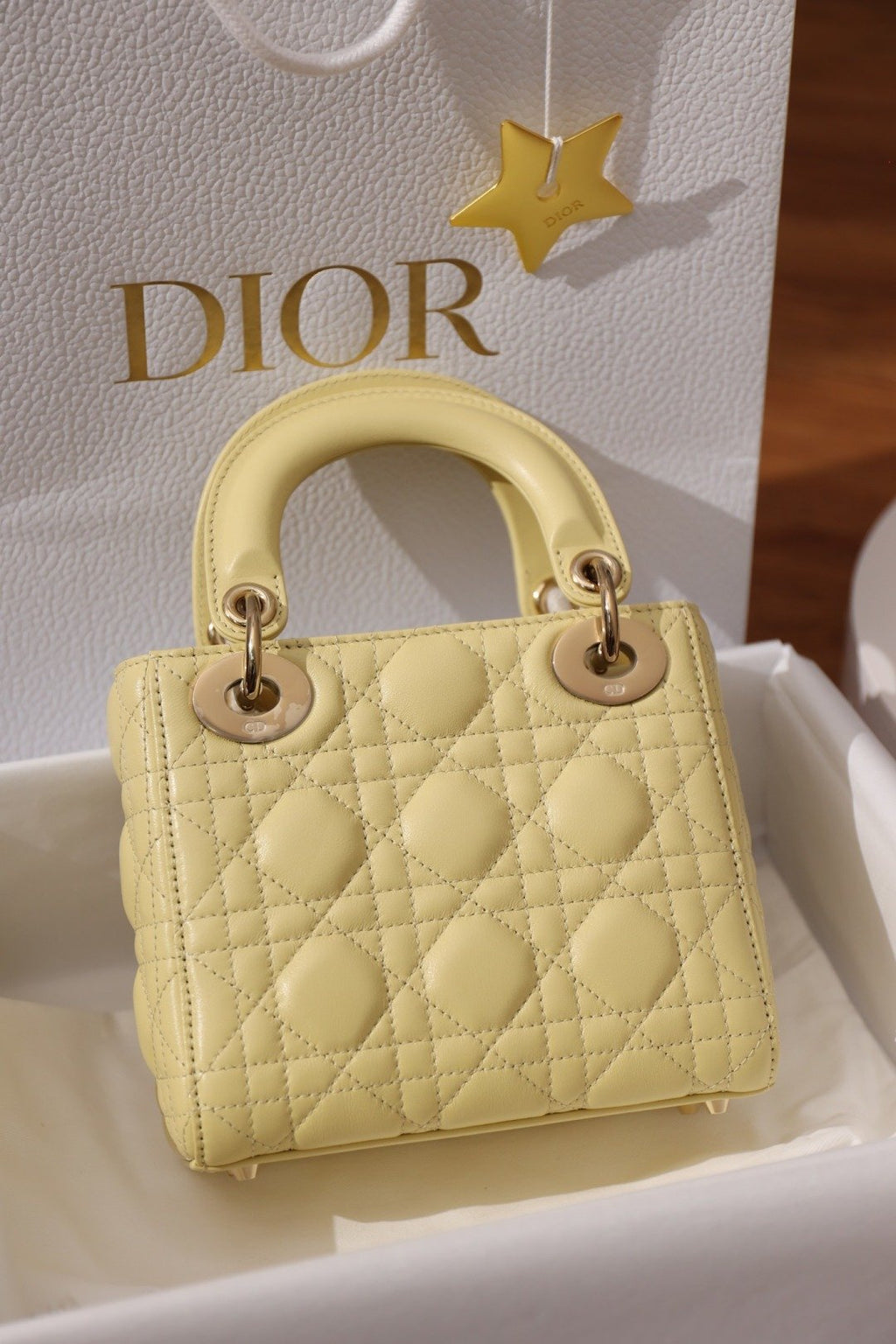 Dior Lady