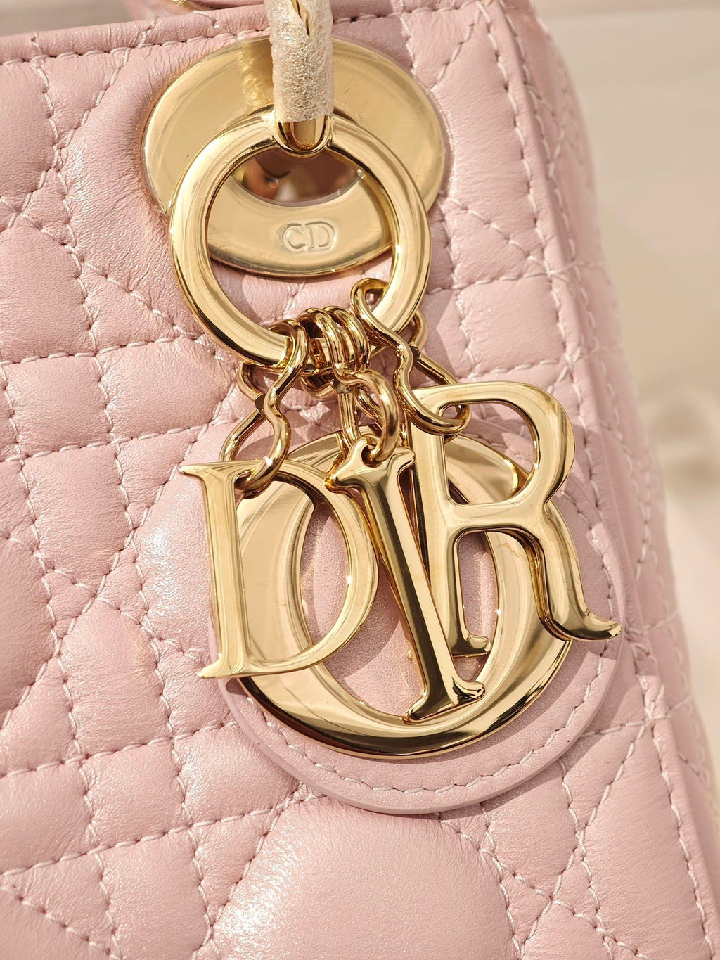 Dior Lady
