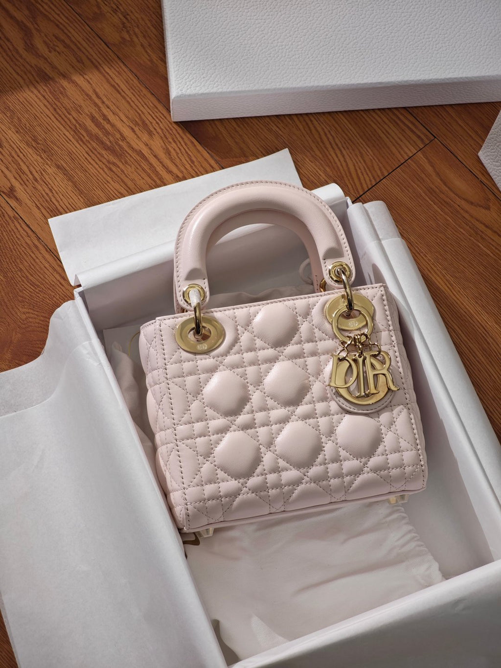 Dior Lady