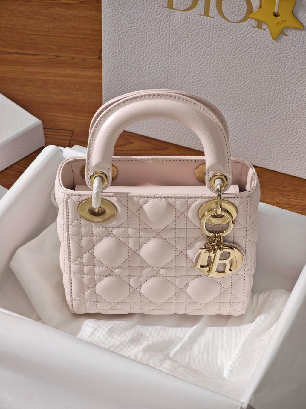 Dior Lady