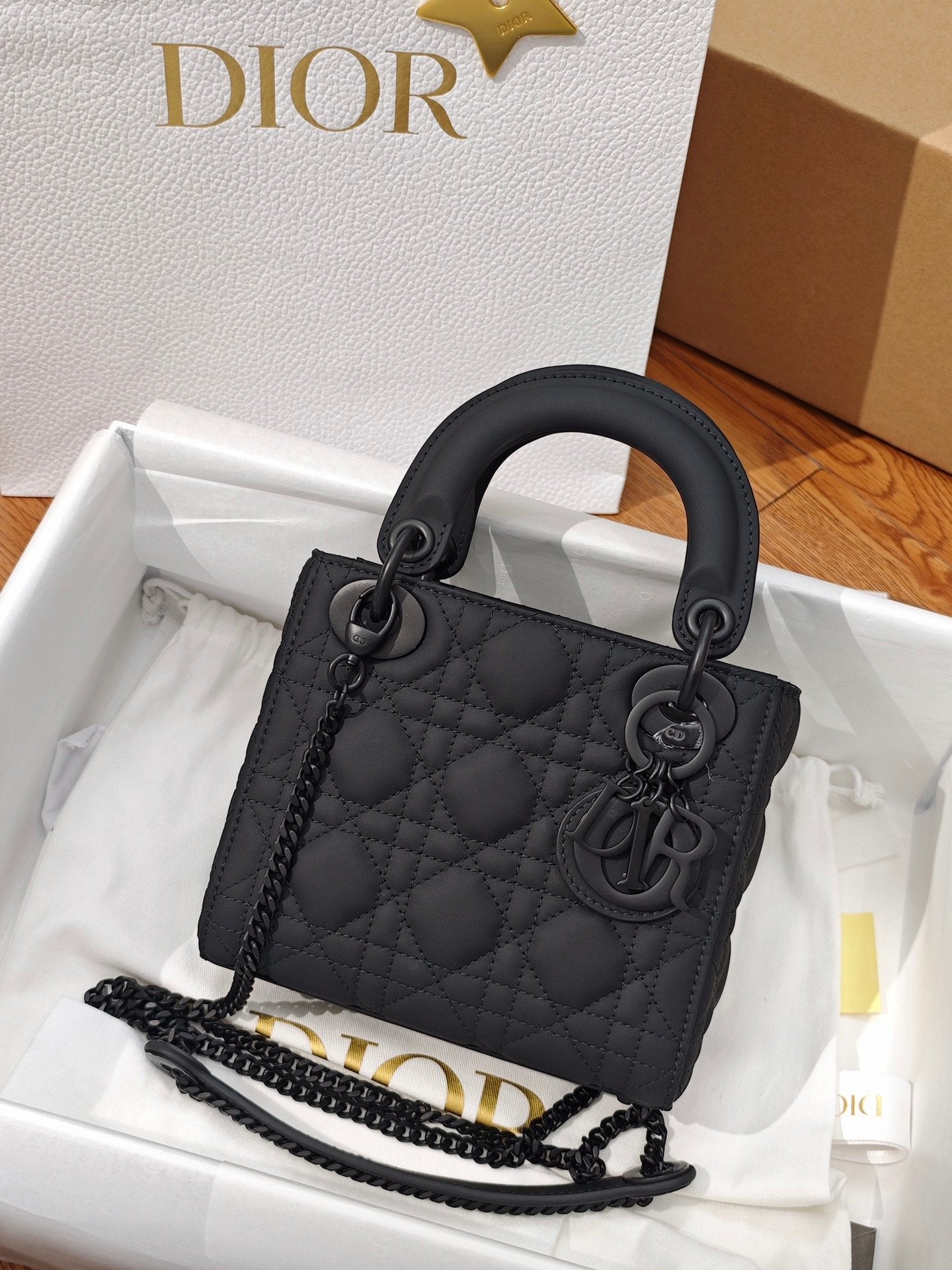 Dior Lady