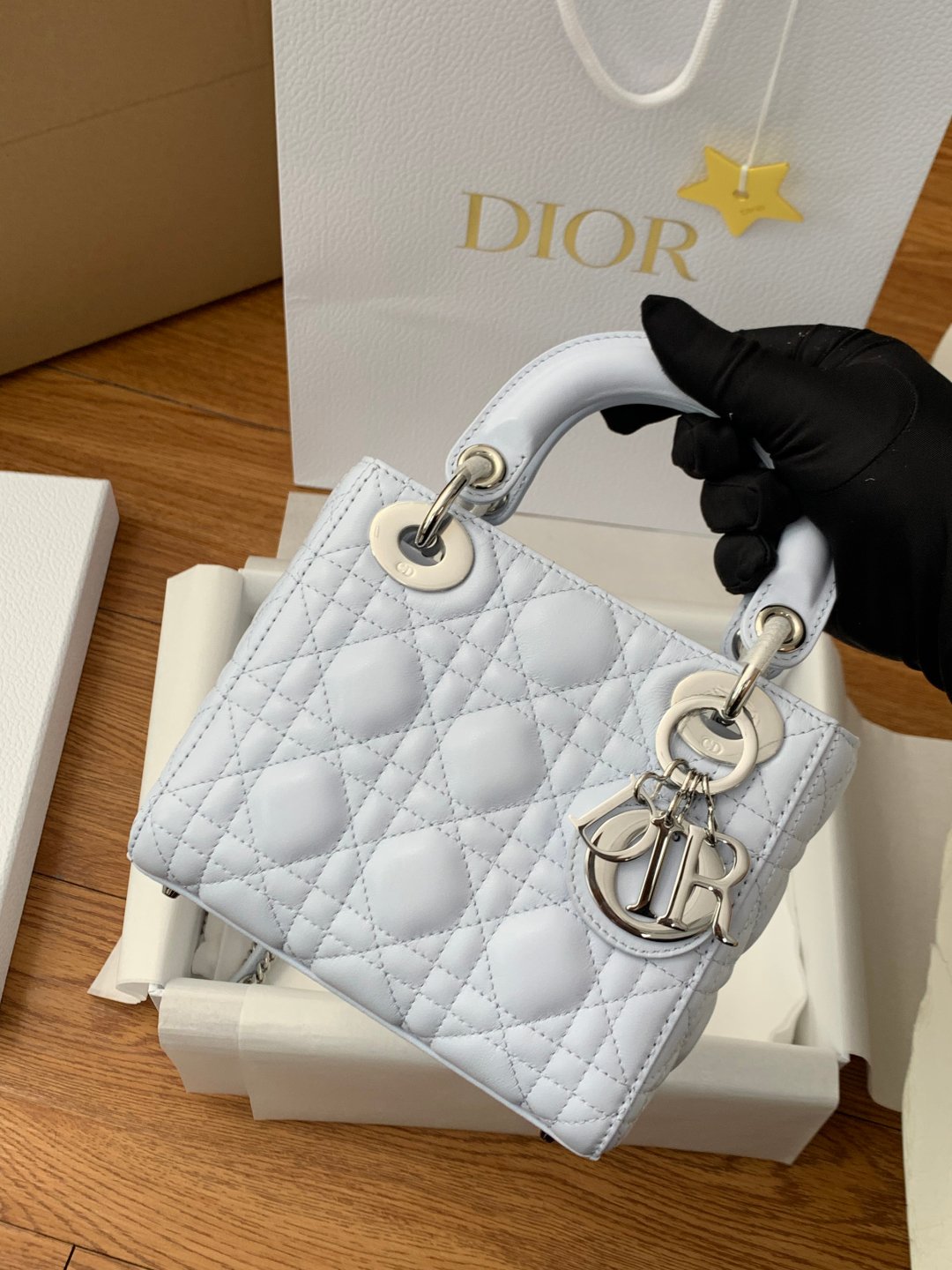 Dior Lady