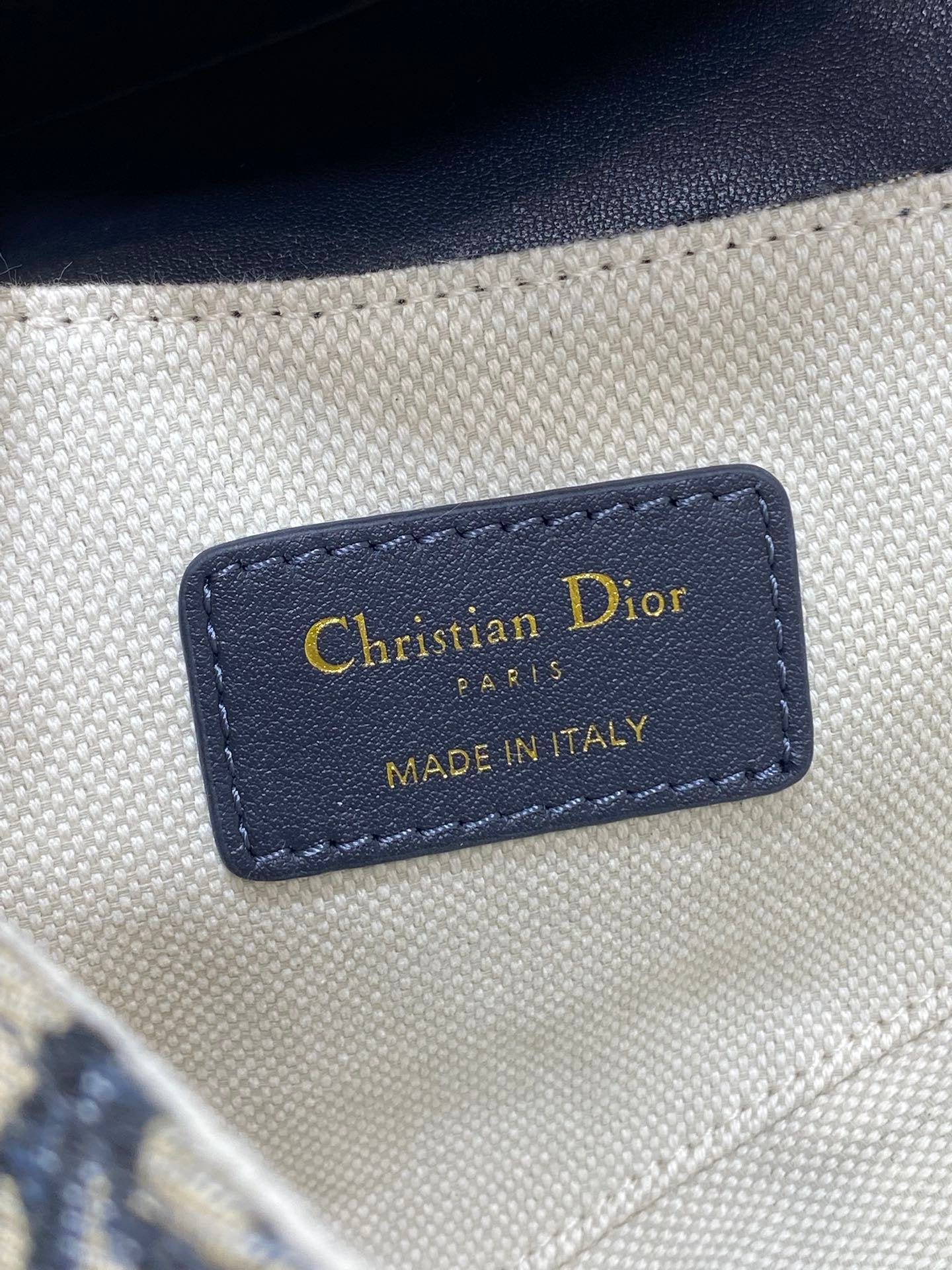 Dior Saddle