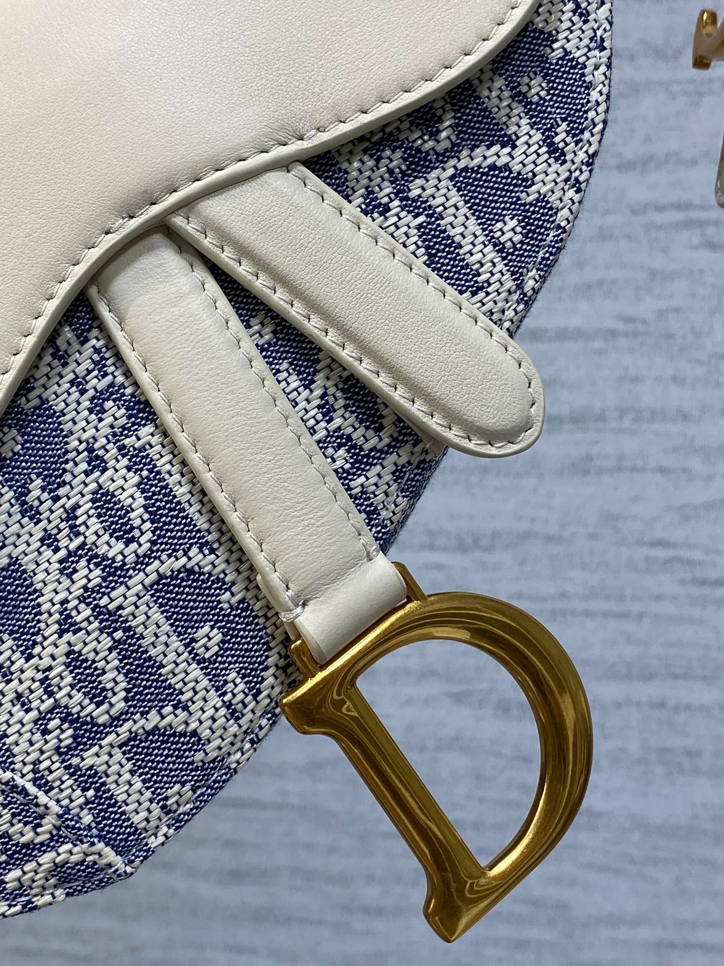 Dior Saddle