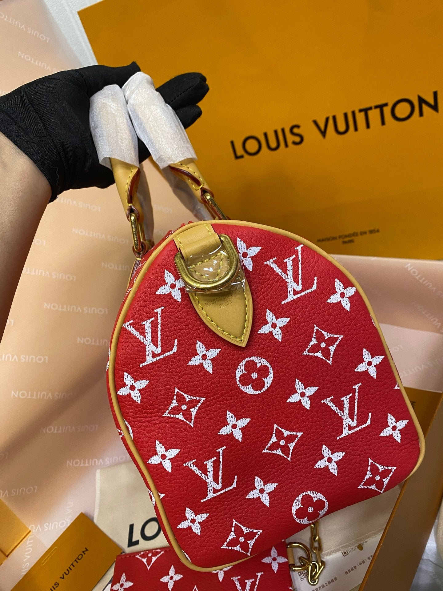 LV nano