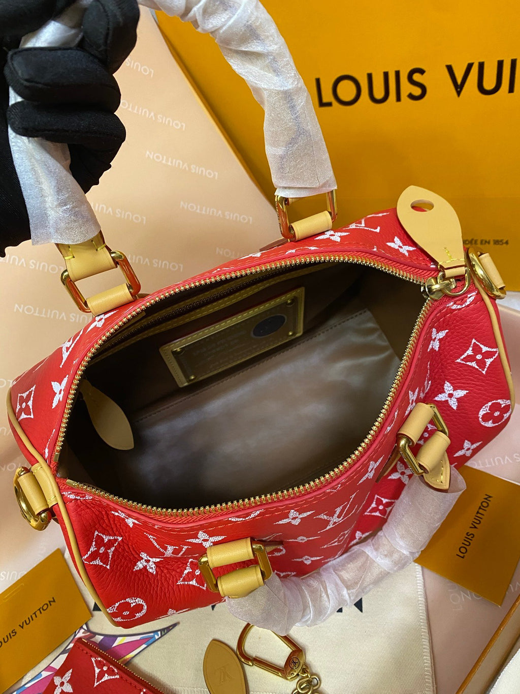LV nano